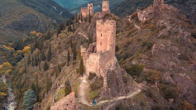 Expérience en Montagne Noire